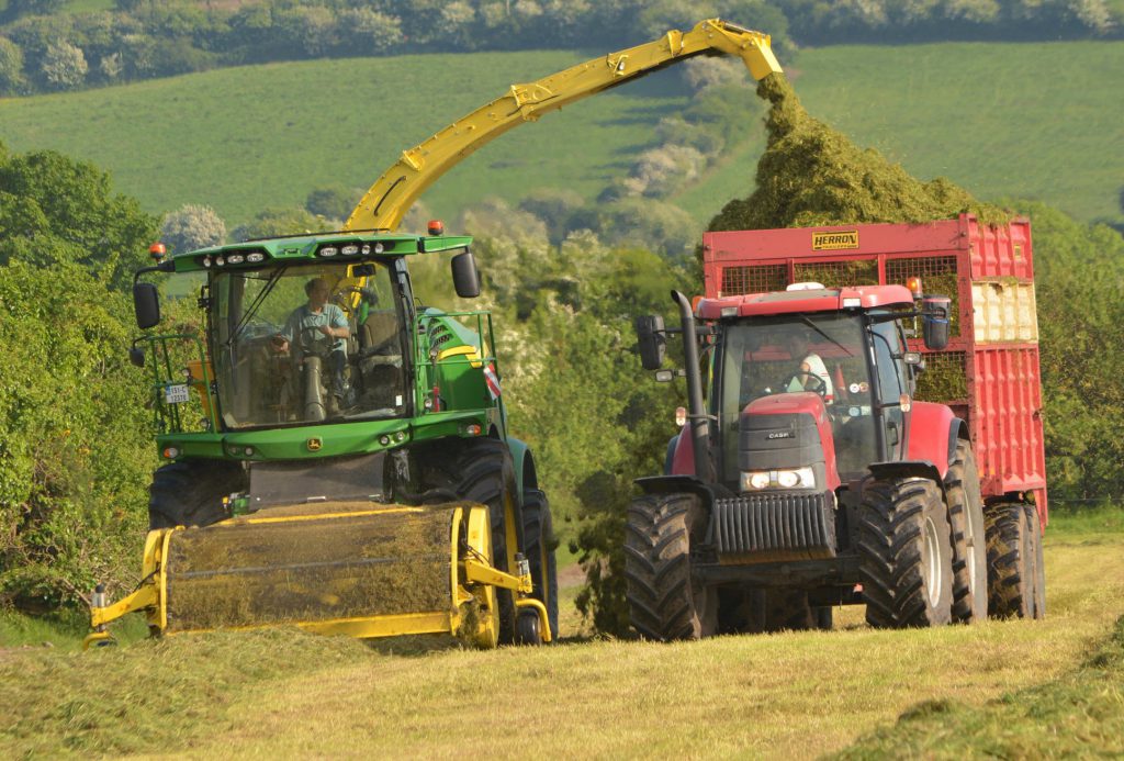 Image source: Shane Casey