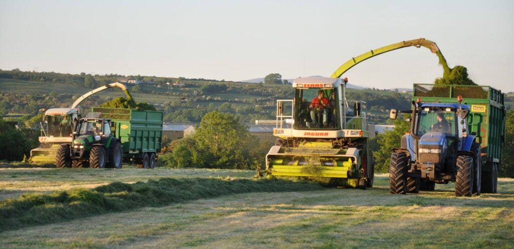 Image source: Shane Casey