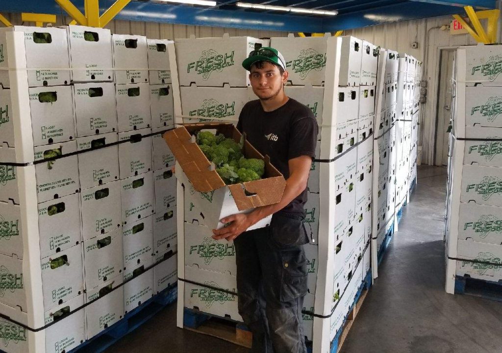 Shane Halpin working on Bottomley’s Farm