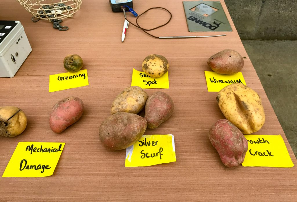 Some of the quality checks that are carried out on the potatoes are shown above