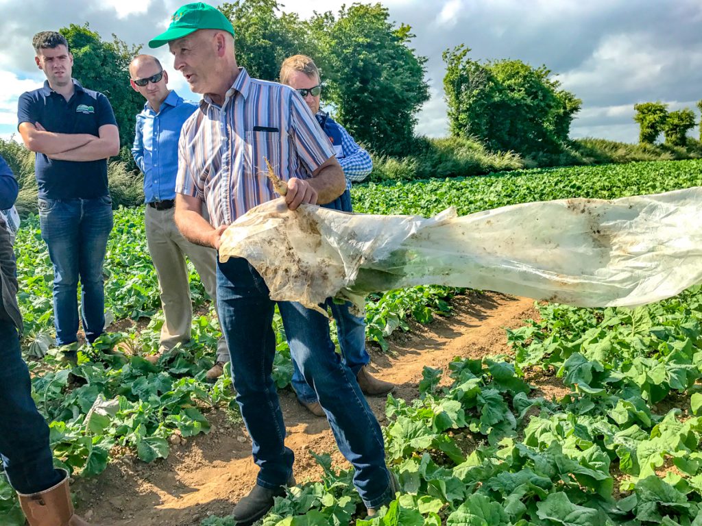 Eddie Doyle showing members of the ASA group the fleece that covered his crop of swedes while it germinated