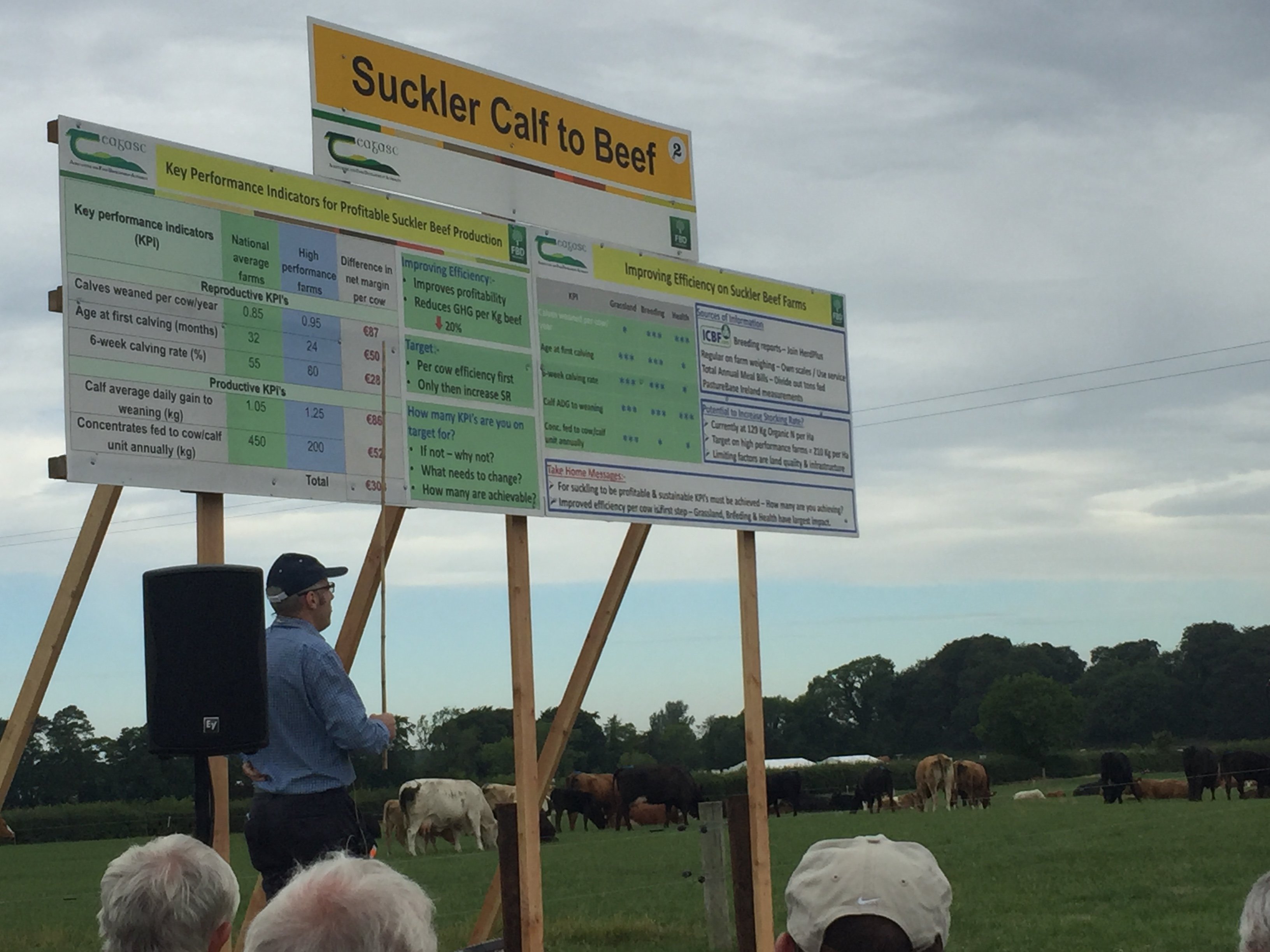 Dr. Mark McGee speaking at BEEF 2018