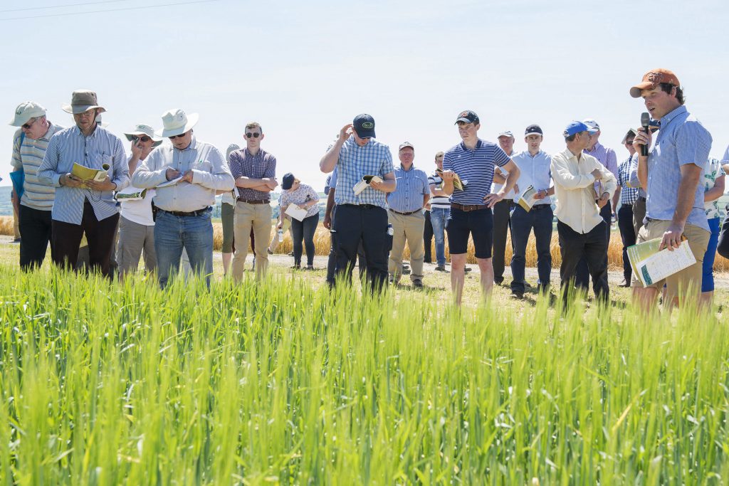 The department’s Seamus Kearney addresses cereal growers at the open day. Image source: O’Gorman Photography.