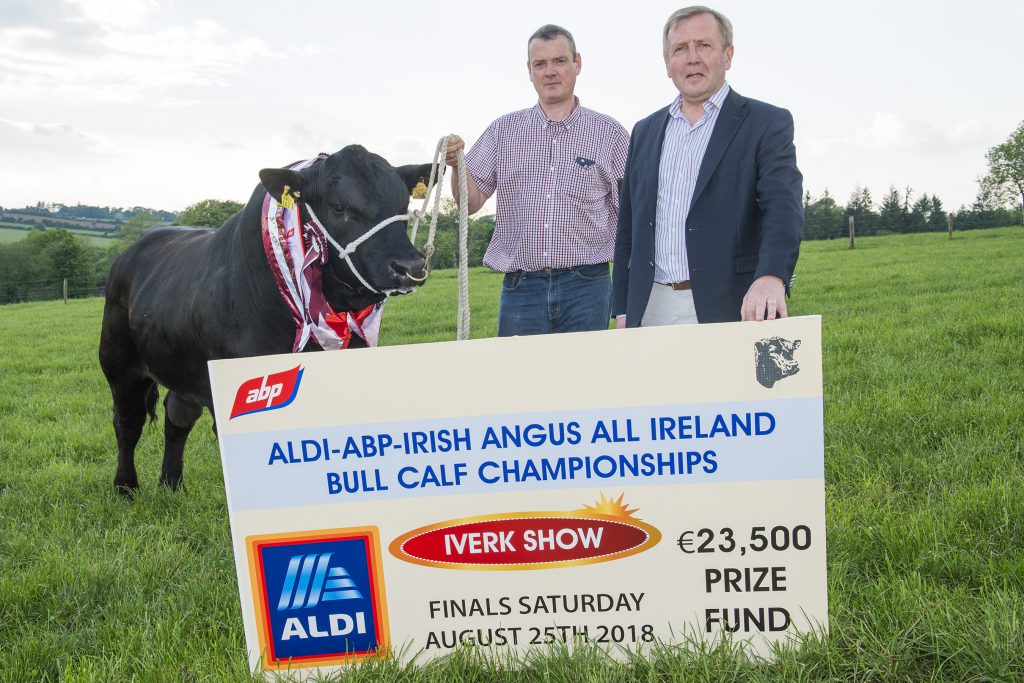 L-R: 2017 Aldi All-Ireland Bull Calf Champion ‘Carrigroe Noel’ and breeder Ben Ryall, with Minister for Agriculture Michael Creed