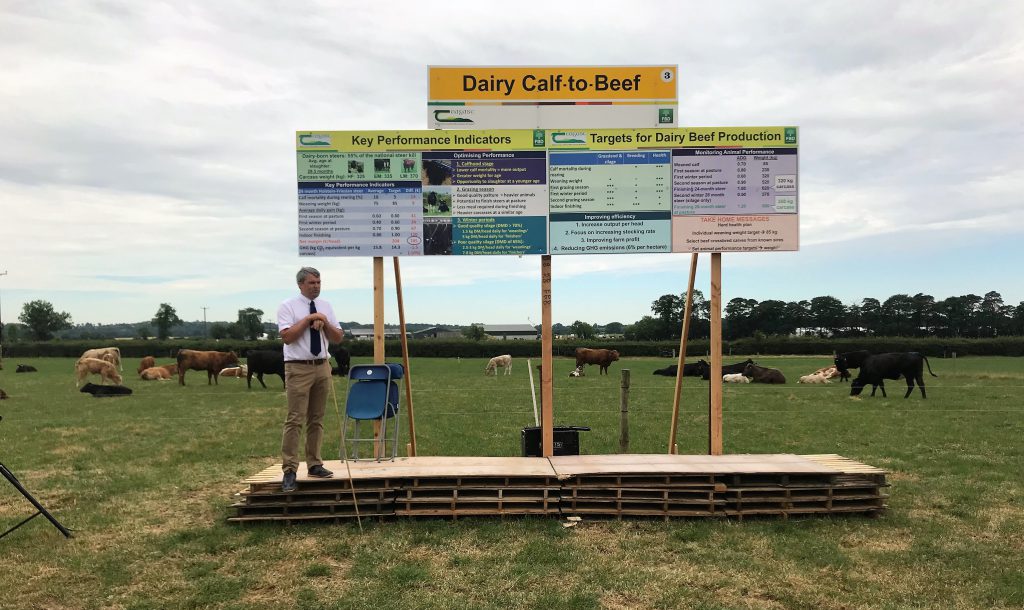 Robert Prendiville at the dairy calf-to-beef stand