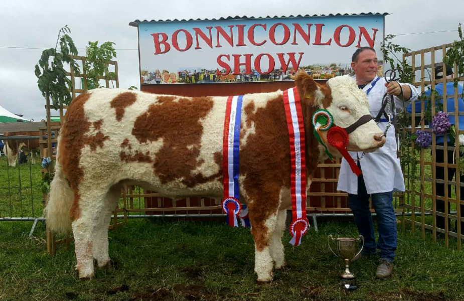 Award-winning heifer, Tawley Gretta