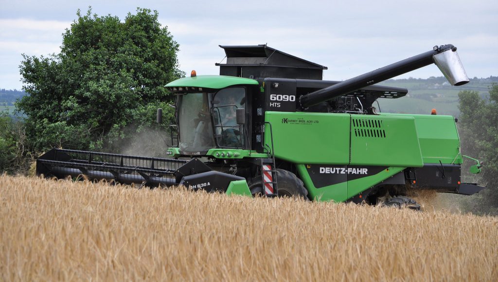 Image source: Shane Casey