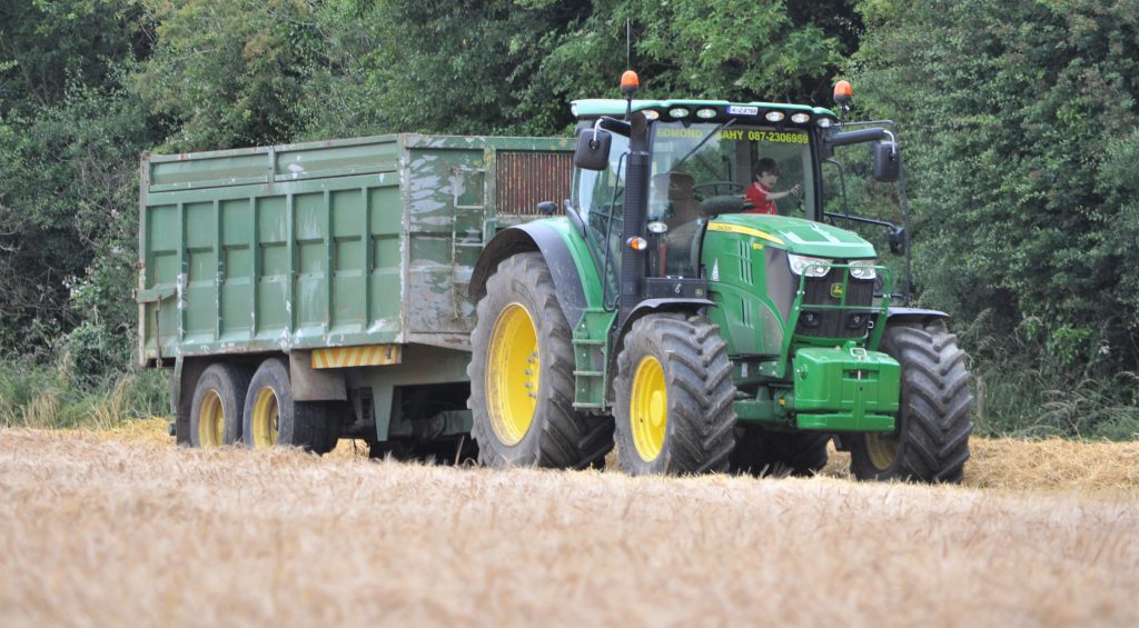 Image source: Shane Casey