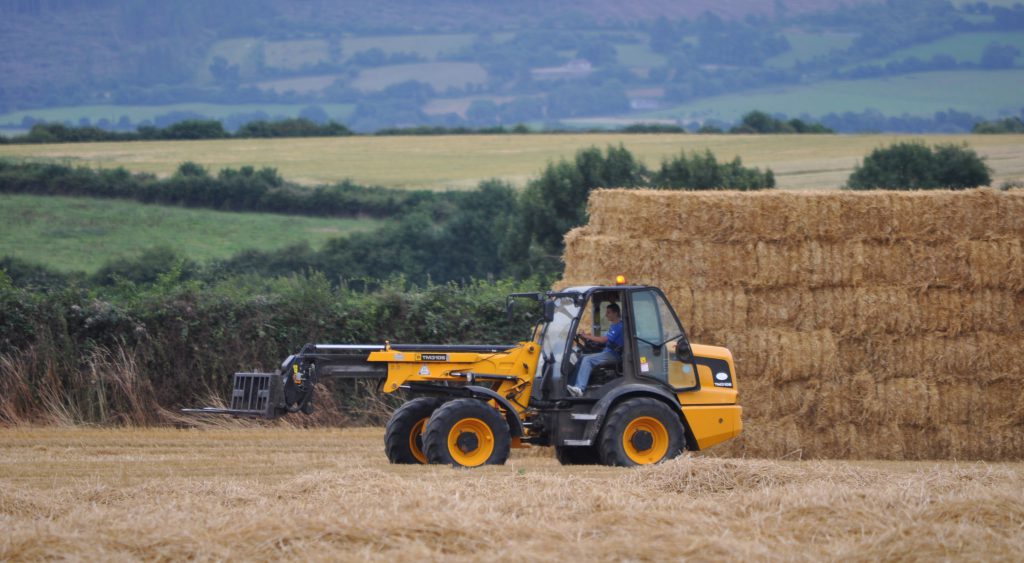 Image source: Shane Casey