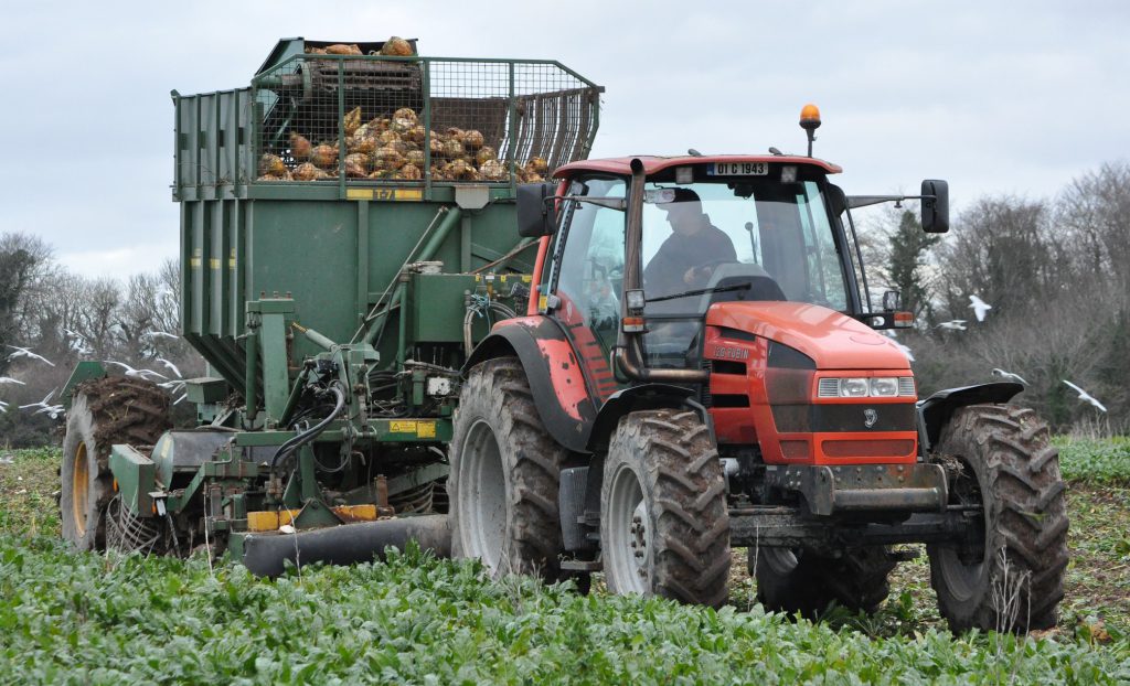 Image source: Shane Casey