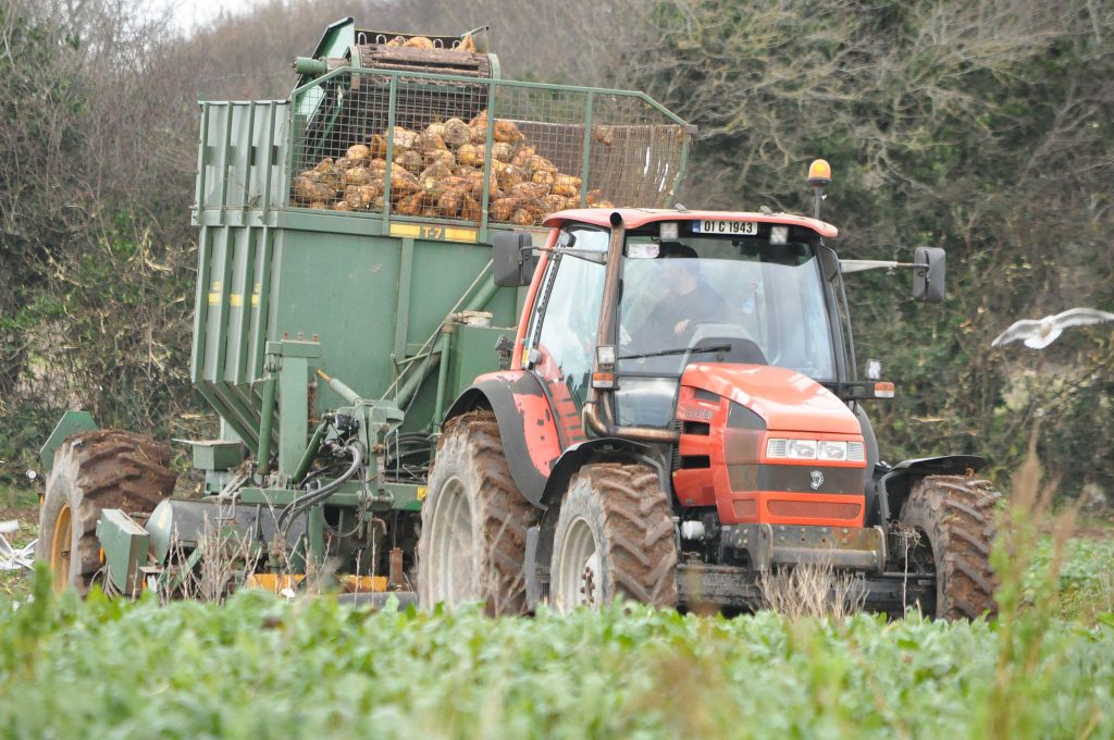 Image source: Shane Casey