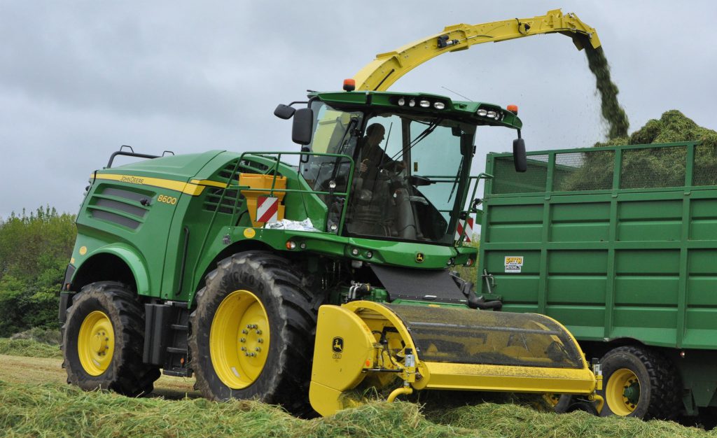 Image source: Shane Casey