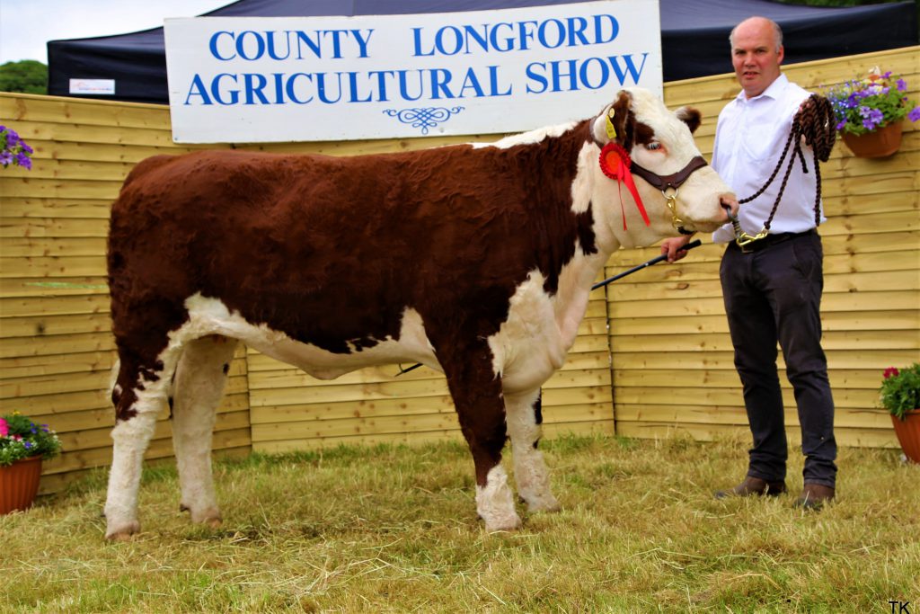 Reserve Champion Moyclare Piscies pictured with owner Michael Molloy