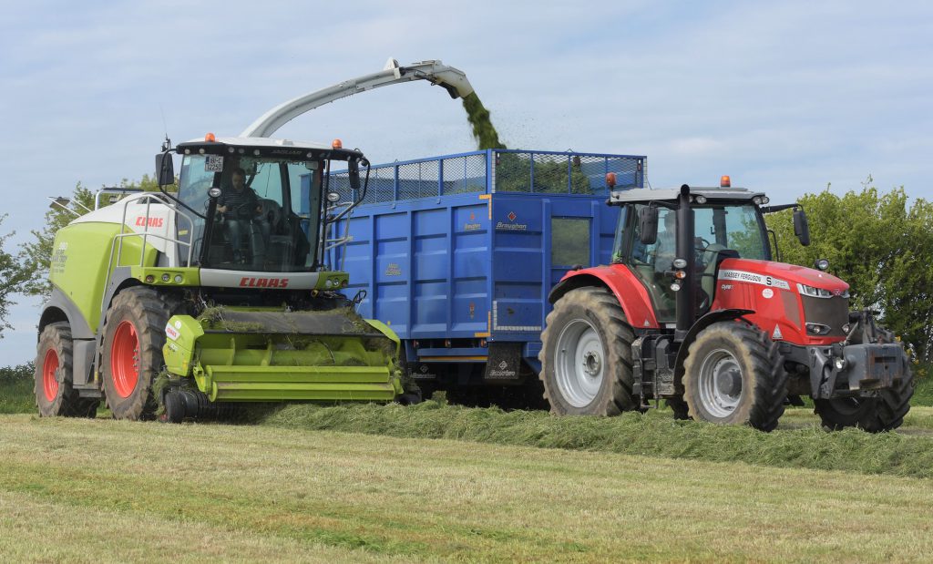 Image source: Shane Casey