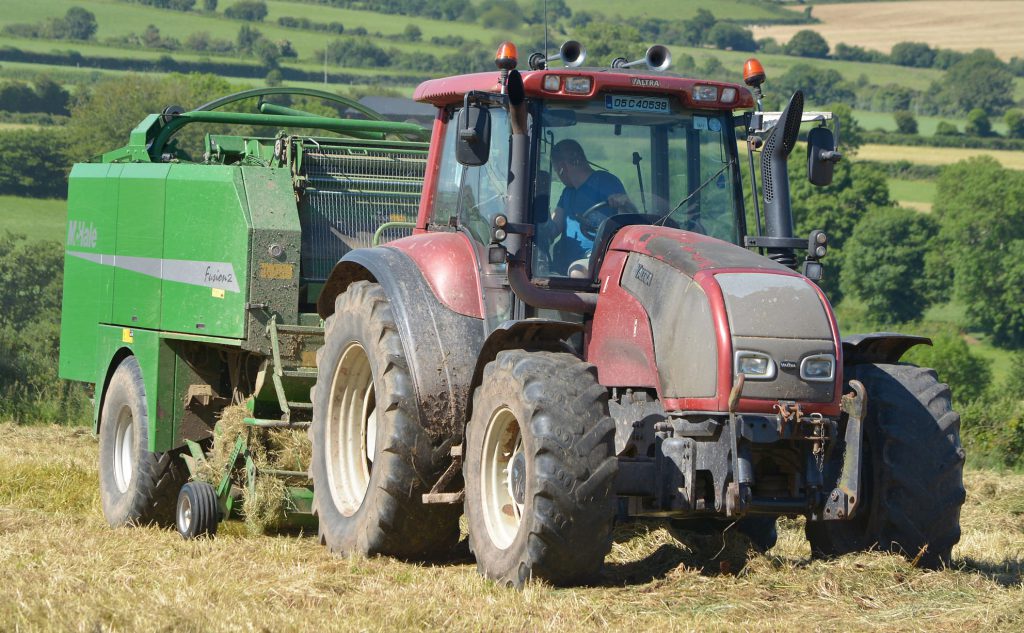 Image source: Shane Casey