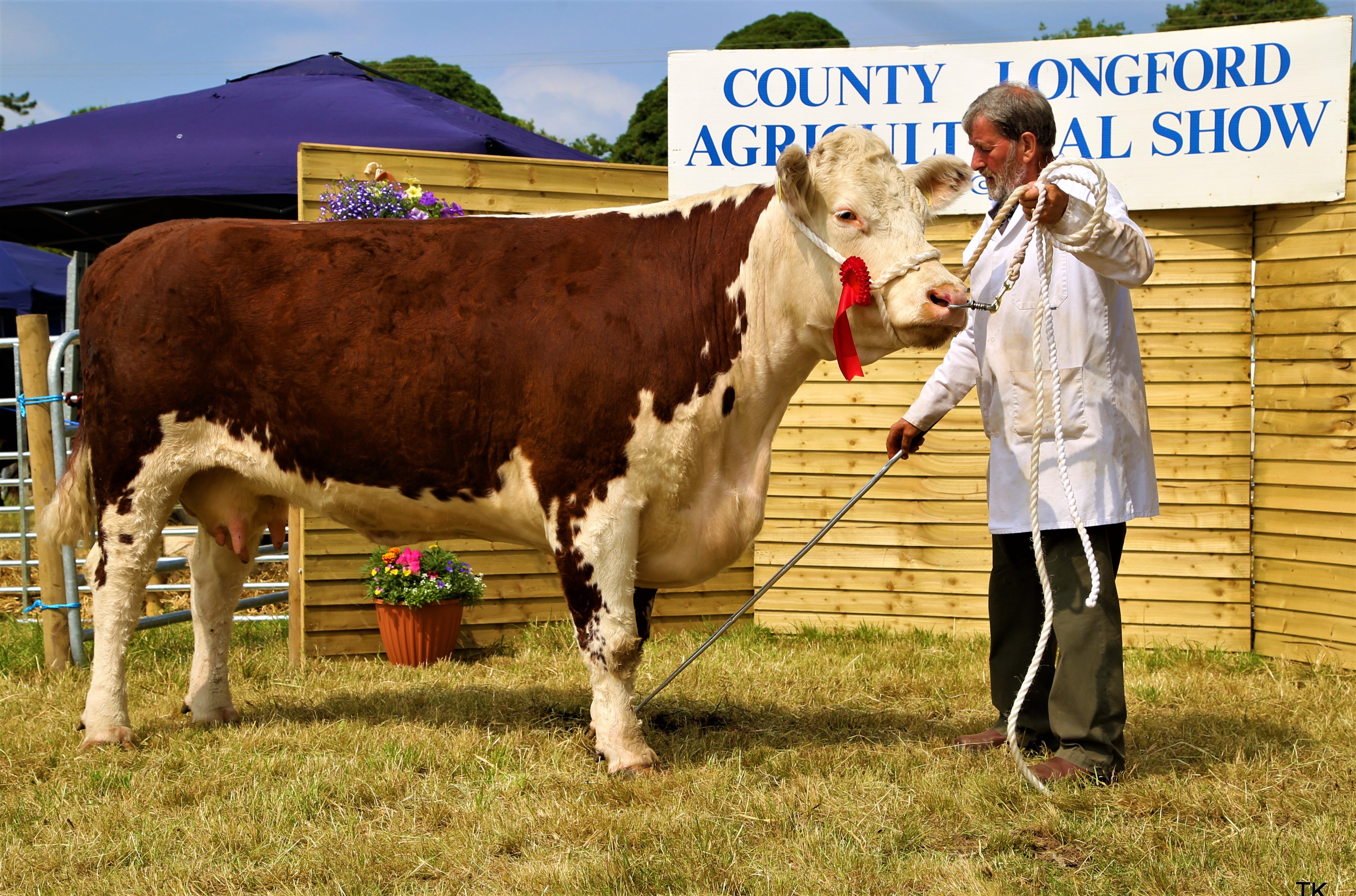 Basil Arnold and Mullaghdoo Rosetta, winner of Class 1