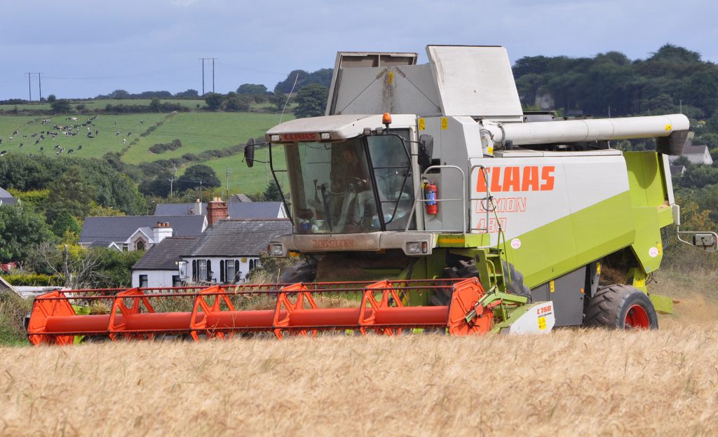 Image source: Shane Casey