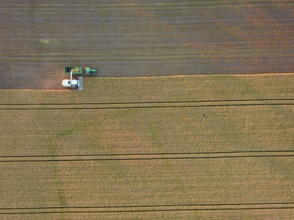 Quigley Agri Contracting harvesting triticale for wholecrop silage on Gowing’s farm outside Portlaoise. Image source: Carl Newell