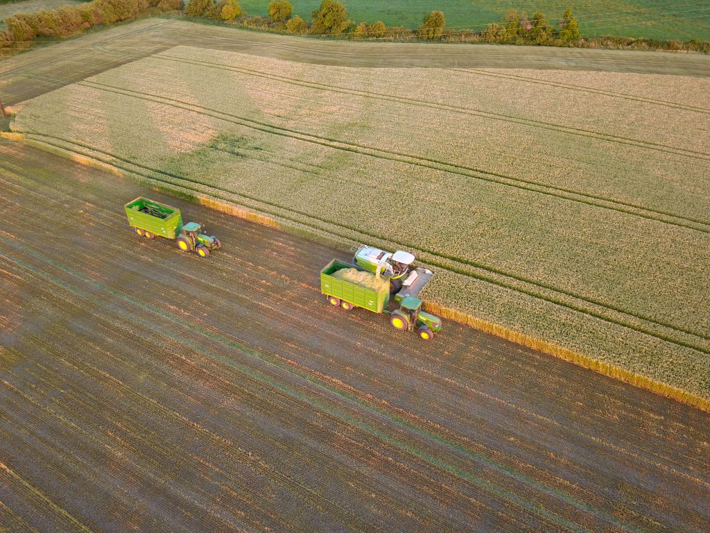 Quigley Agri Contracting harvesting triticale for wholecrop silage on Gowing’s farm outside Portlaoise. Image source: Carl Newell