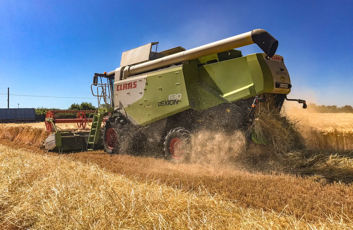 The straw is all pre-booked from this crop of winter barley in Co. Kilkenny