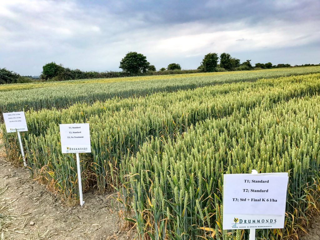Disease programmes being tested at the Drummonds trial site