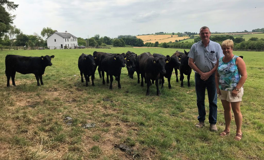 Ben and Elaine Ryall with a crop of their pedigree Angus heifers