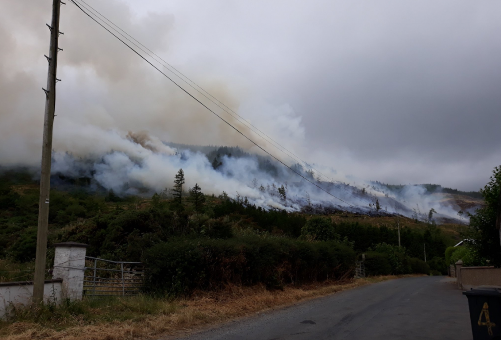 Image source: NIFRS Twitter page