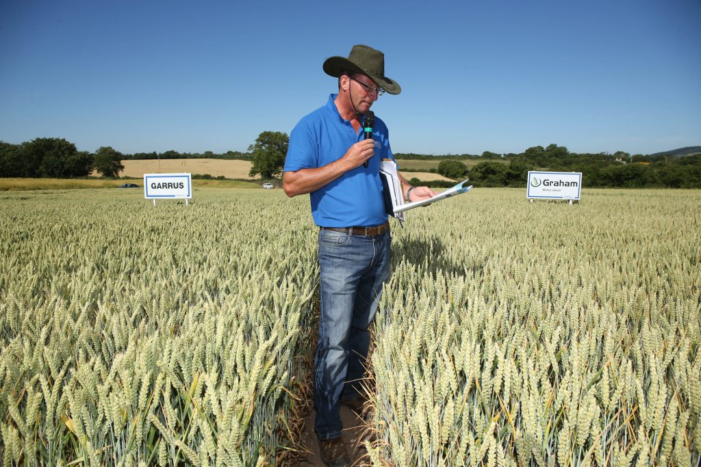 Patsy Kehoe talking winter wheat at the Seedtech open day. Image source: Finbarr O’Rourke
