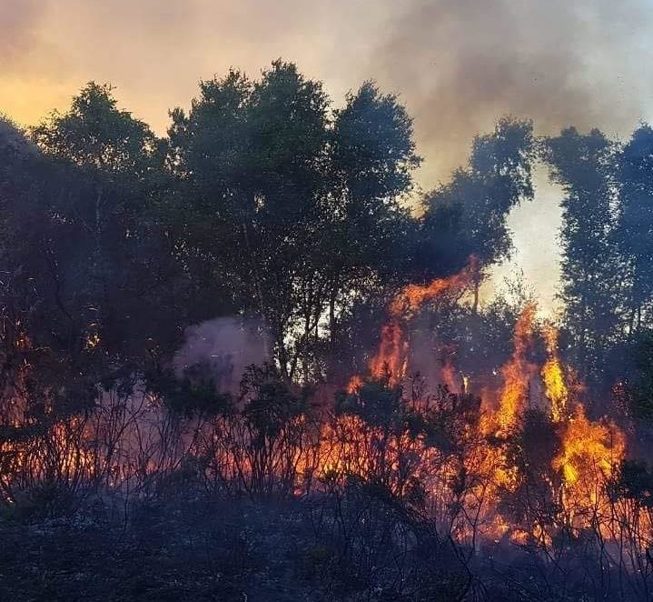 Image source: Offaly Fire and Rescue Service