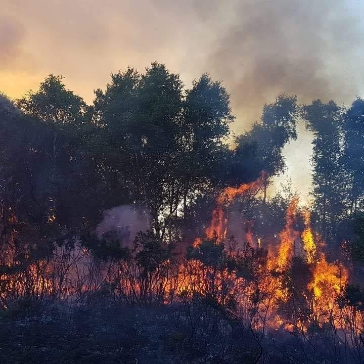Image source: Offaly Fire and Rescue Service