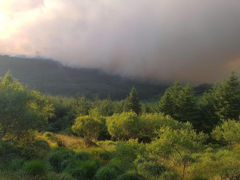 Image source: Offaly Fire and Rescue Service