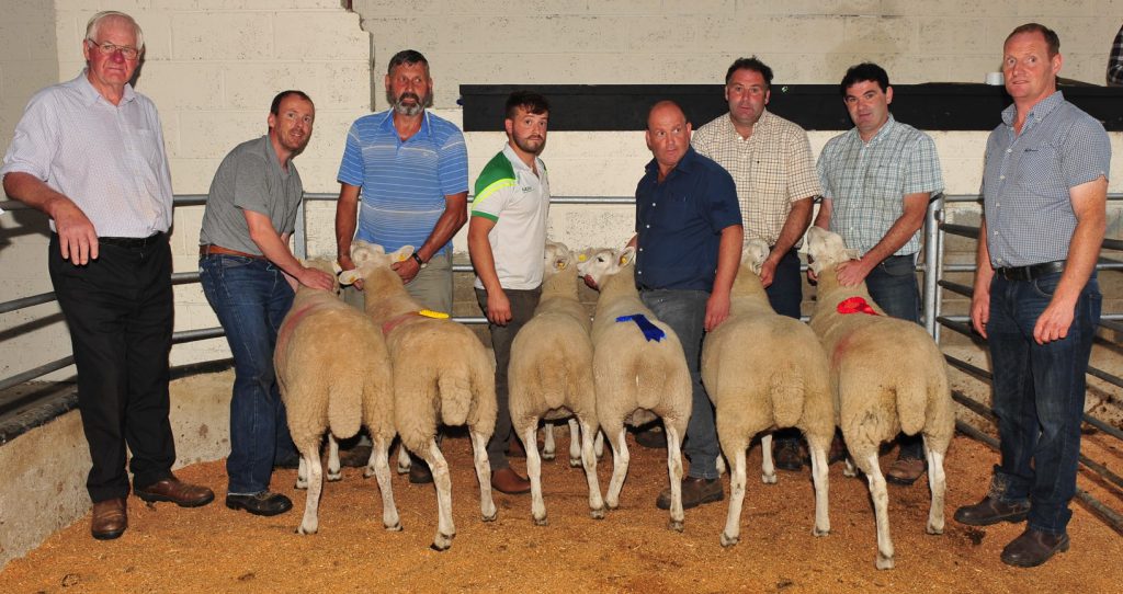 Best Pair of Cheviot Hoggett Ewes: 1st Peter Behan; 2nd David and Dylan Leybourne; 3rd John Driver. Judges on the night were (left) Edward Fox and (right) Thomas Broe. Image source: Roger Jones