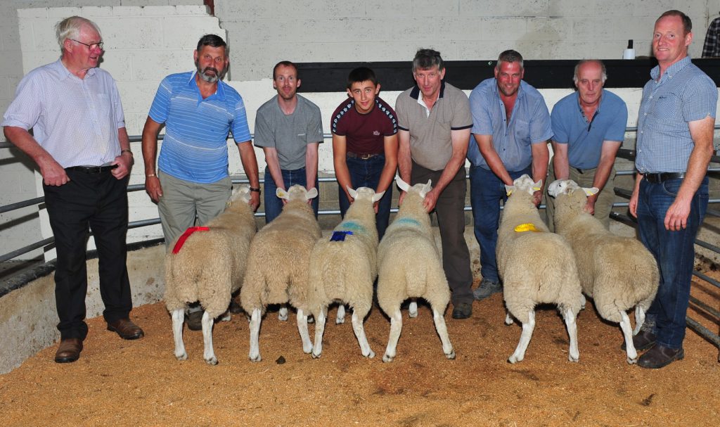 Best Pair of Cheviot Ewe Lambs: 1st John Driver; 2nd Ben Fenton; 3rd Laurence Murphy. Judges on the night were (left) Edward Fox and (right) Thomas Broe. Image Source: Roger Jones