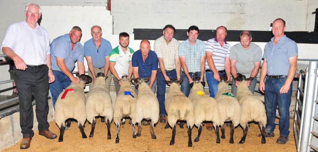 Best Pair of Suffolk Cheviot Ewe Lambs: 1st Laurance Murphy. 2nd David and Dylan Leybourne; 3rd Peter Behan; 4th Sean Ryan. Judges on the night were (left) Edward Fox and (right) Thomas Broe. Image Source: Roger Jones
