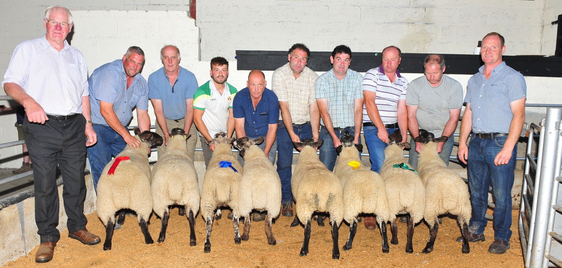 Best Pair of Suffolk Cheviot Ewe Lambs: 1st Laurance Murphy. 2nd David and Dylan Leybourne; 3rd Peter Behan; 4th Sean Ryan. Judges on the night were (left) Edward Fox and (right) Thomas Broe. Image Source: Roger Jones