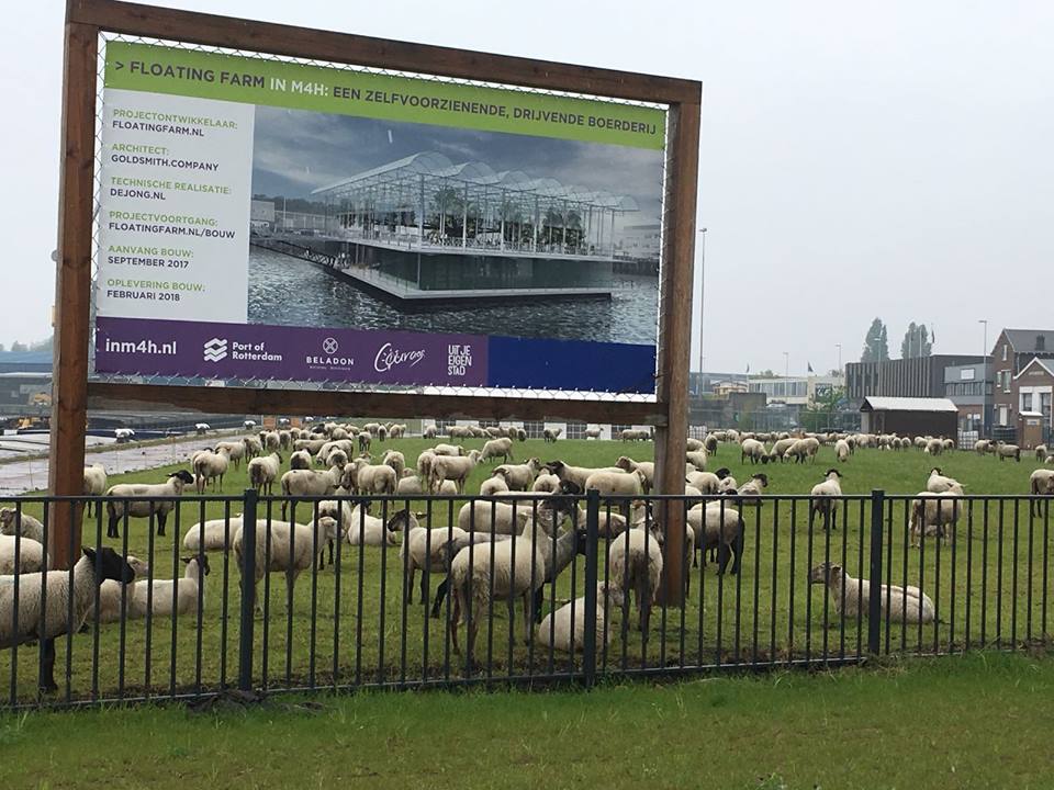 Image source: Floating Farm Rotterdam Facebook page
