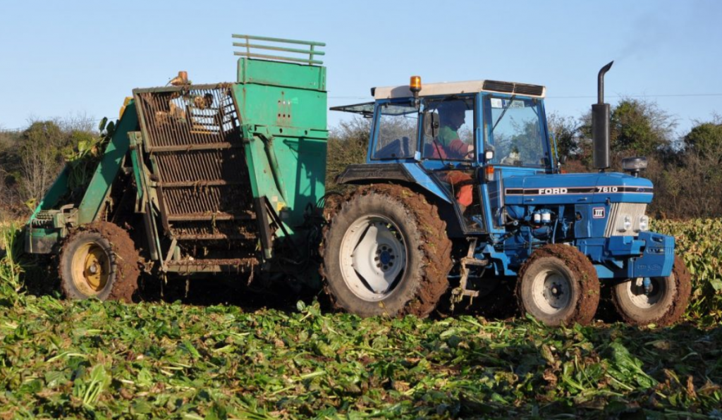 Image source: Shane Casey