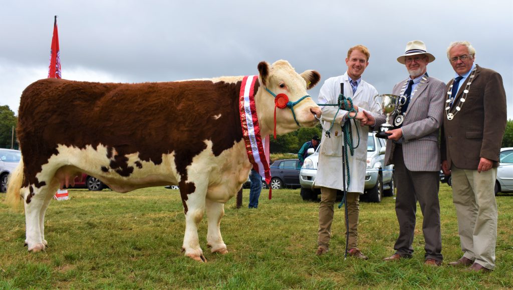 Champion: David Sheehan (Irish Shows Association) and IHBS president Martin Murphy presenting the Murphy Cup to Edward Dudley for his Hereford Champion ‘Kilsunn Lass Lily’