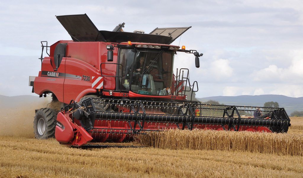 Image source: Shane Casey