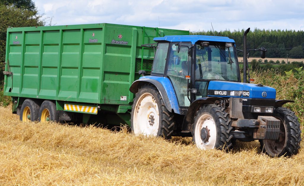 Image source: Shane Casey