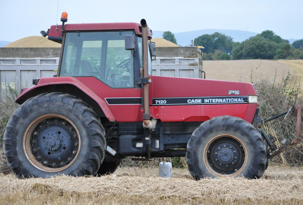 Image source: Shane Casey