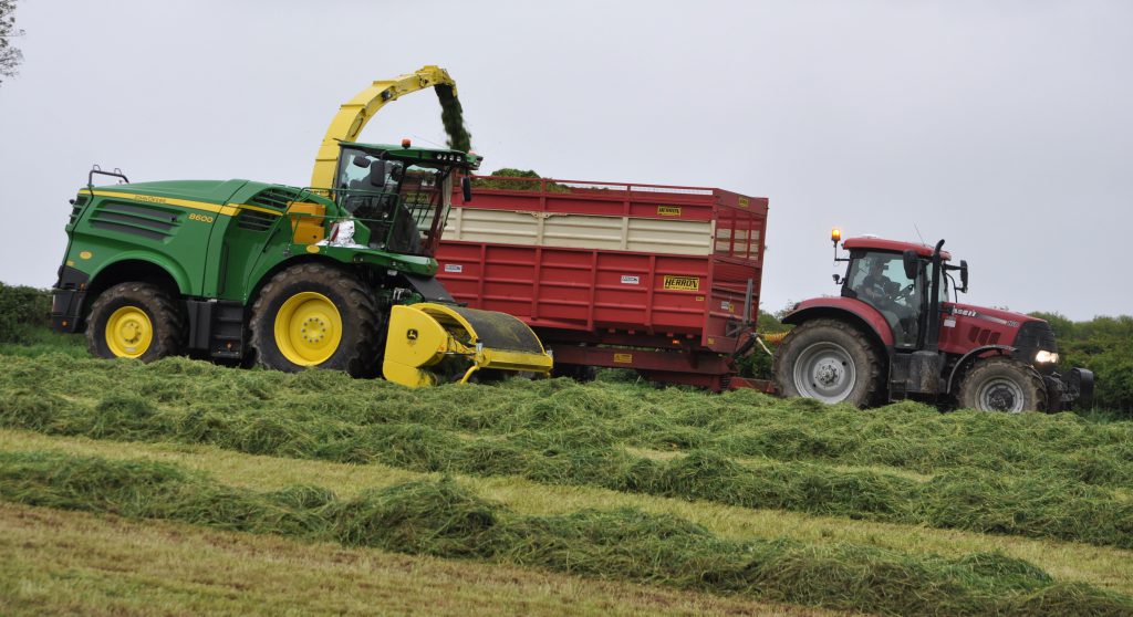 Image source: Shane Casey