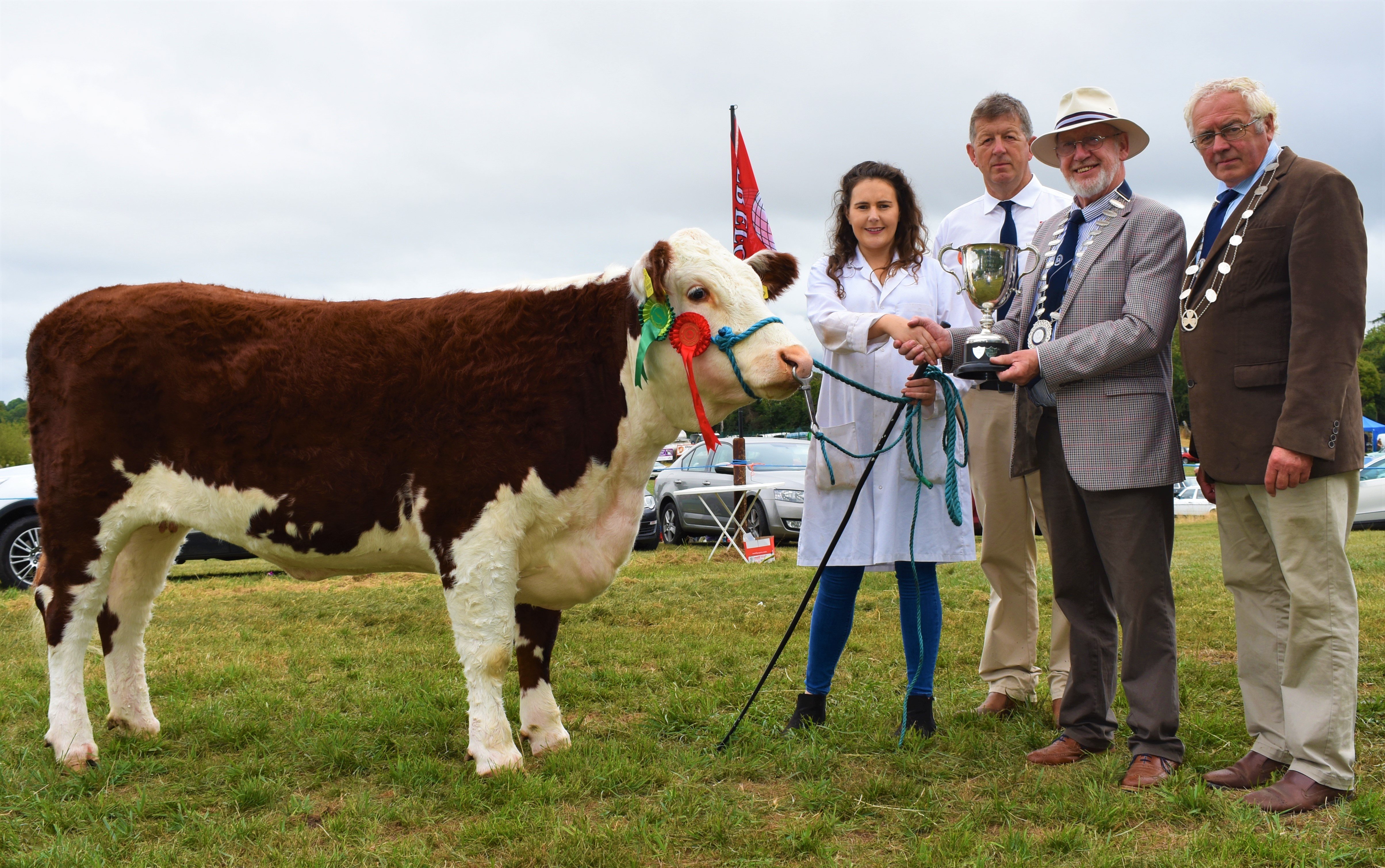 Reserve Champion: Susan Dudley with her Reserve Champion ‘Kilsunny Lass Nectar’ pictured with Glenn Jacob (judge); David Sheehan (Irish Shows Association); and IHBS president Martin Murphy