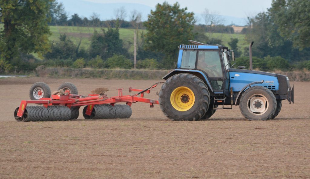 Image source: Shane Casey