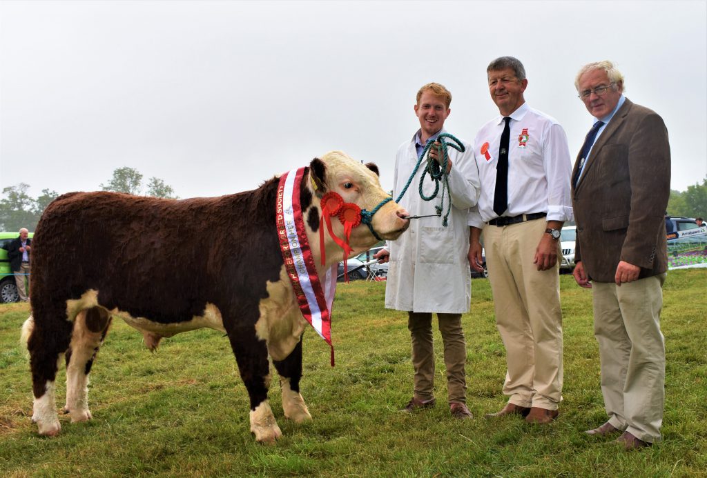Bull Calf Champion: Kilsunny Ozzy with Edward Dudley; Glenn Jacob (judge); and IHBS president Martin Murphy