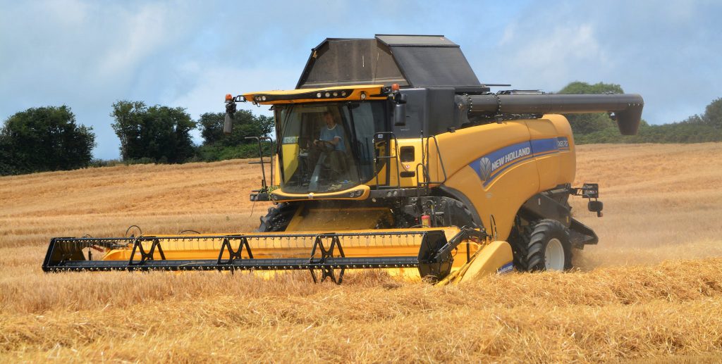 Image source: Shane Casey