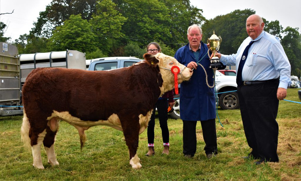 Bull Calf Reserve Champion: Farney Osmondo with owner John Johnston and Kaci O’Rourke receiving the Ned Gleeson Memorial Cup from the IHBS vice-president