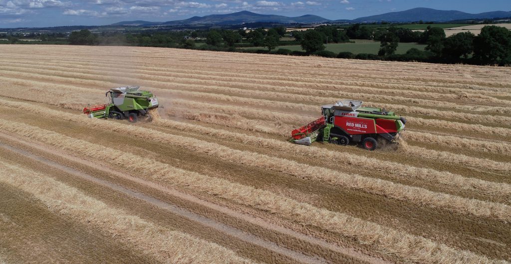 Image source: John W Anderson