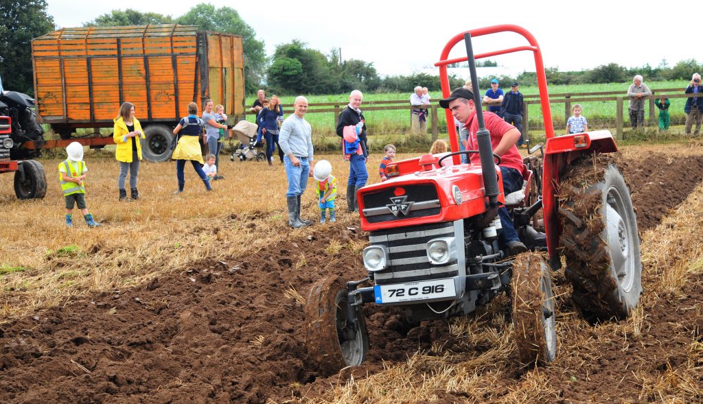 An MF 135 being put through its paces at a previous ‘Autumn Harvest’ event