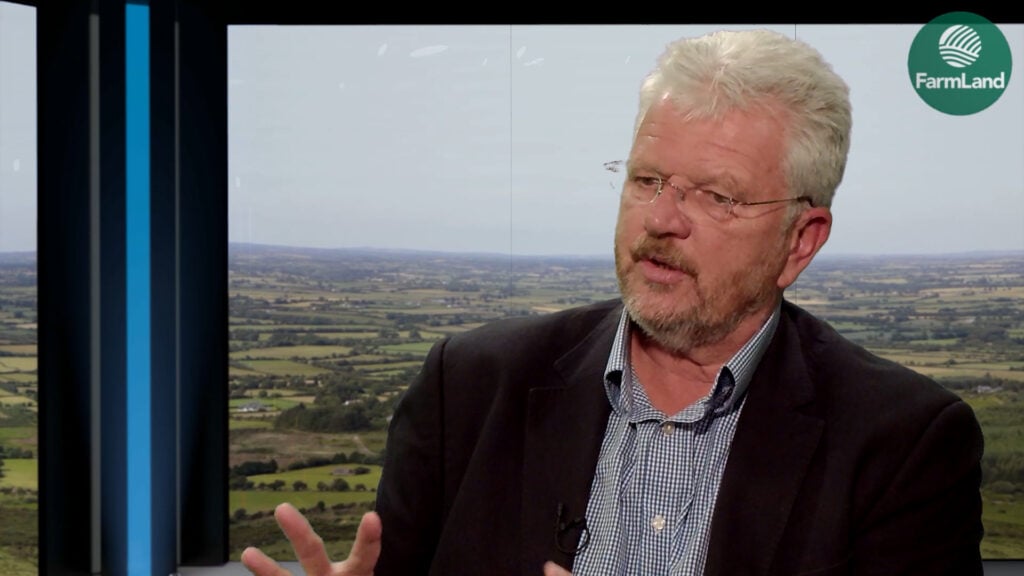 Agri-food economist and former chair of Meat Industry Ireland, Ciaran Fitzgerald